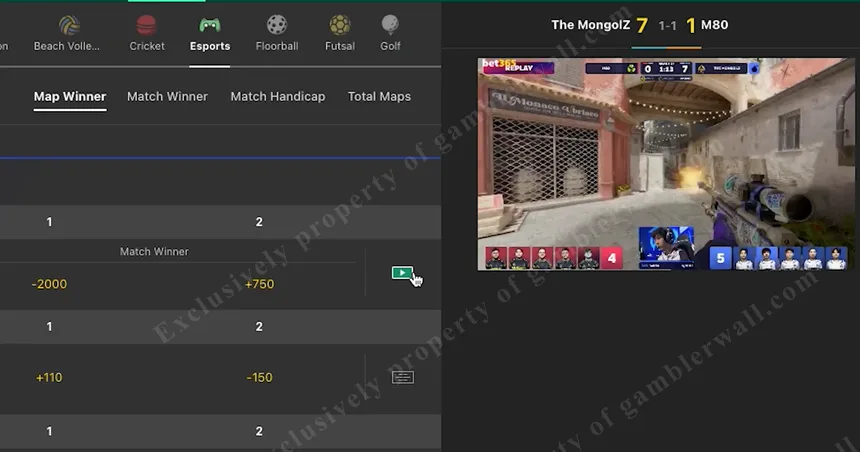 Replay Matches feature — watch and bet on archived events